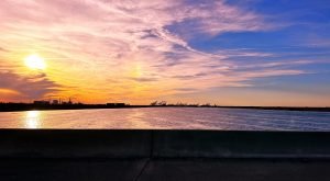A Parrott's View Drone Photography 005