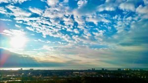 A Parrott's View Drone Photography 006